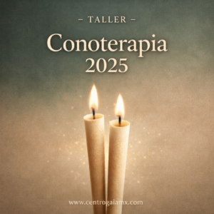 Taller Conoterapia 2025