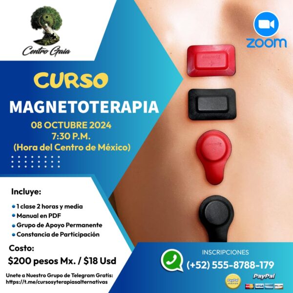 curso magnetoterapia