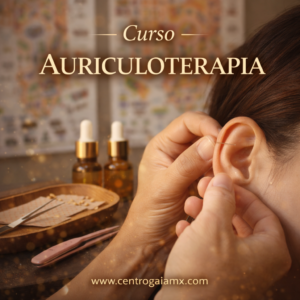 Curso Auriculoterapia