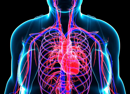 conexión mente cuerpo y energía