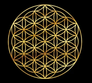 flor de vida geometria sagrada