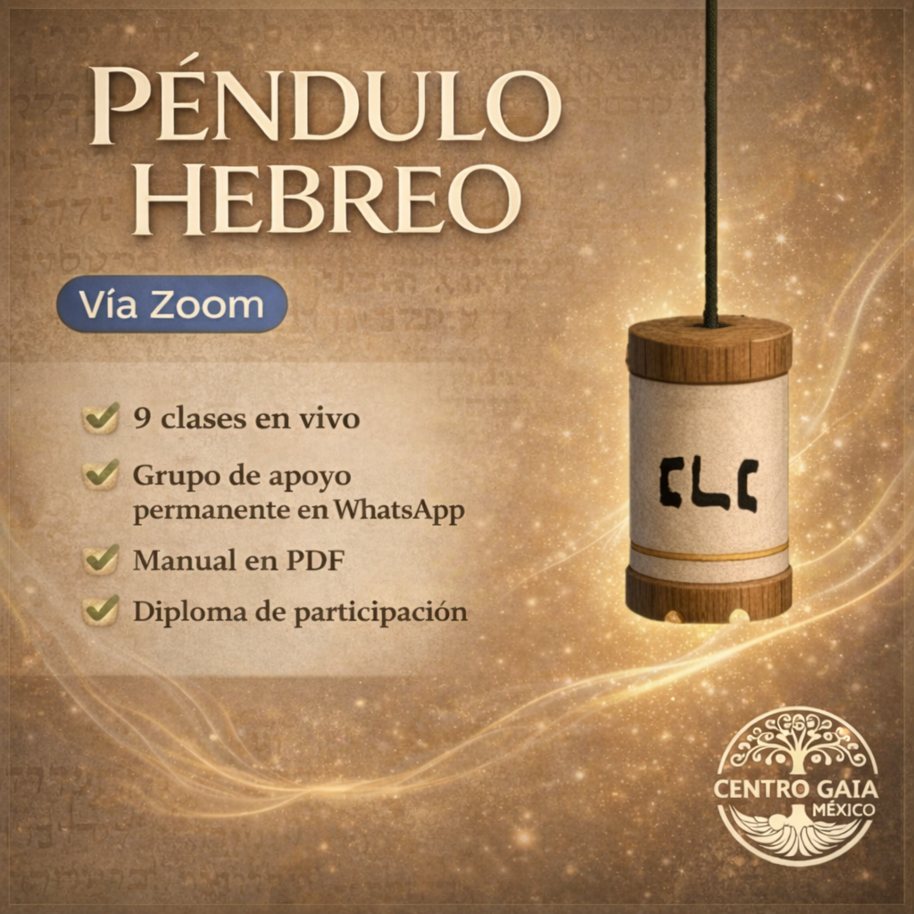 ChatGPT Image 12 ene 2026 11 15 20 a.m