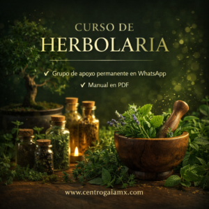 ChatGPT Image 6 ene 2026 09 45 53 p.m