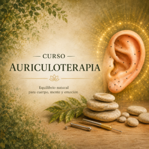 Auriculoterapia 2026